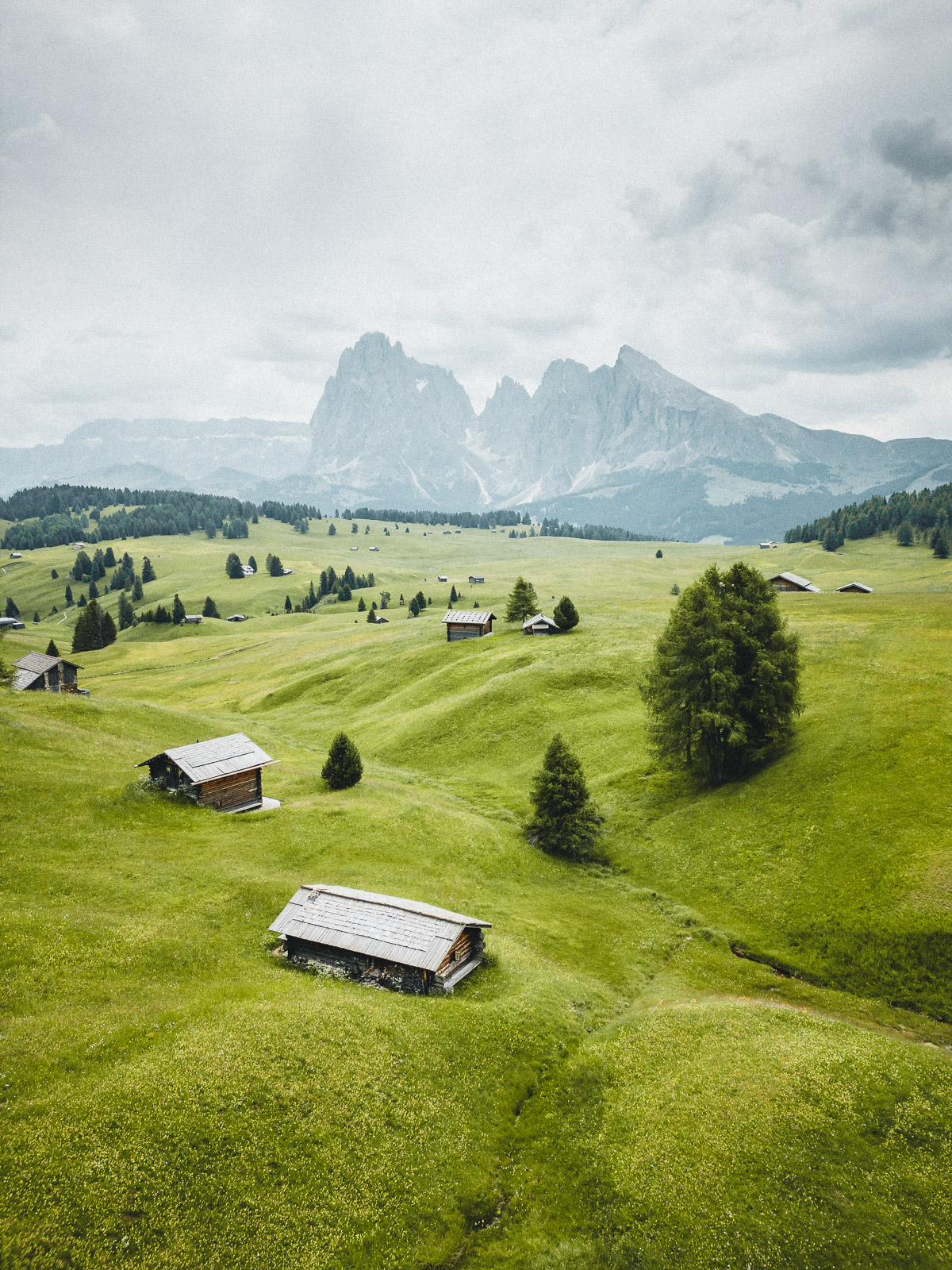 Alpe di Siusi, Dolomites
